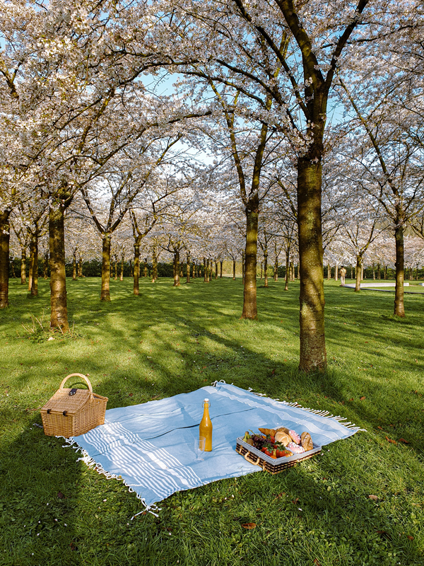 Amsterdamse Bos Bloesempark